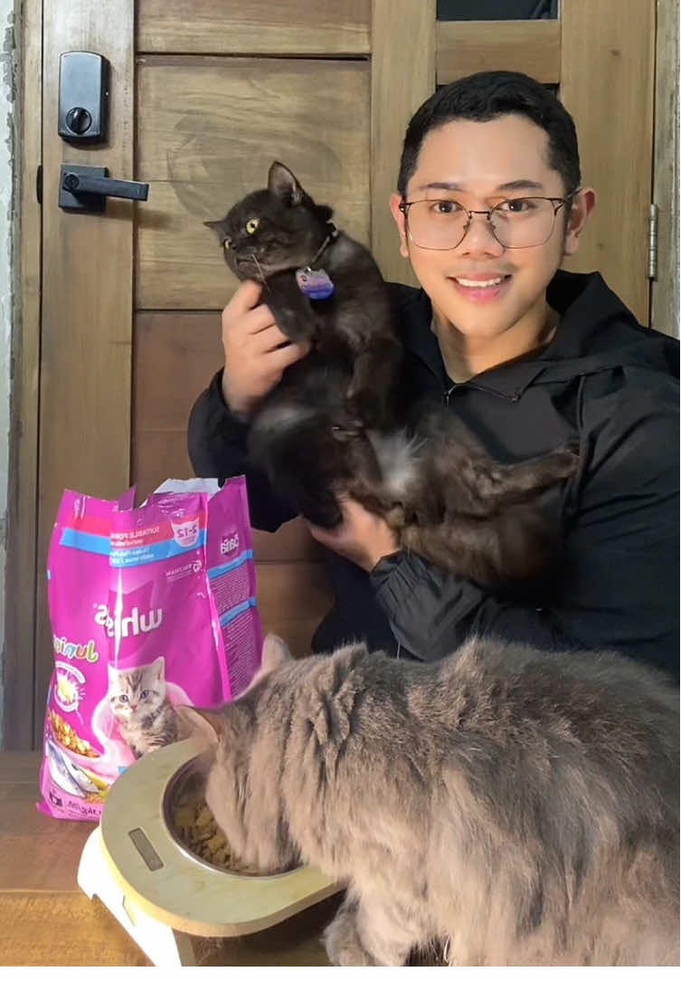 Baka ito narin yung makakatulong sa mga pihikan niyong mga alaga 😊 kilala din si Whiskas na mayroon maganda quality pag dating sa Catfood dahil legit marami din makukuhang benefits ang mga furbabies natin dito , Kaya kung gusto mo din sila ng ganito nanjan lang yung link sa yellow basket ko #whiskas #whiskasdryfood #whiskascatfood #catfood #catdryfood #cat #petproducts #petessentials #petsupplies #pet #fyp #foryoupage #foryoupageofficiall 