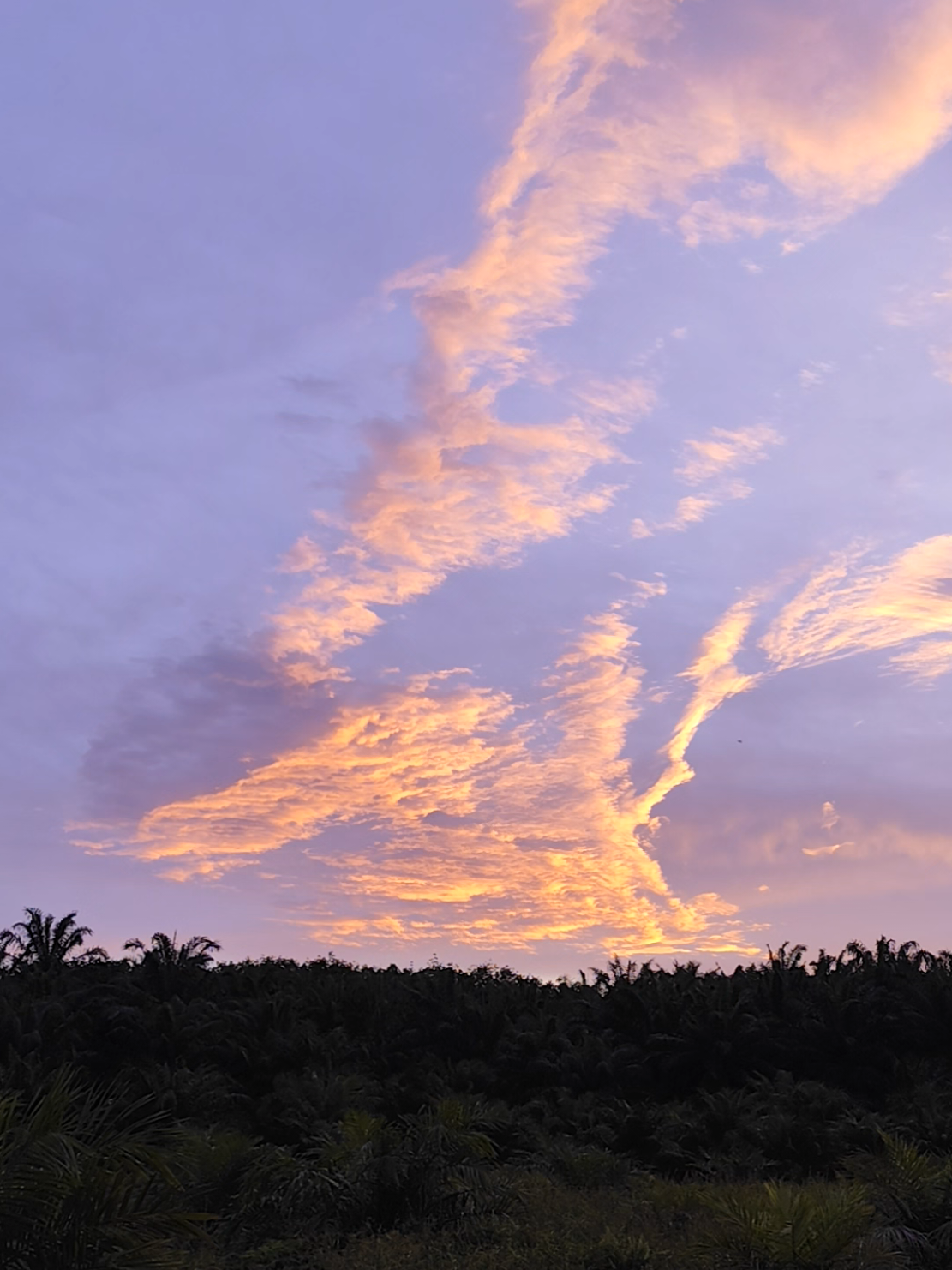 seindah itu langit sore di spot mancing #sanset #sansetvibes #kata #sore #mancing #casting #foryou #fypシ #masukberandafyp #fyp 