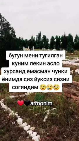 #trend #trend #rek #trend #rek #rekomendasifilm #rekomendasioutfit #rek #rek #trend #trend #trend #trend #рекомендации #trend #rek #trend #rek #trend #rek 