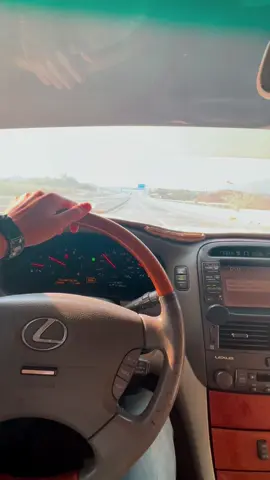 #شدو #الديره #السعودية #الامارات #الاردن 