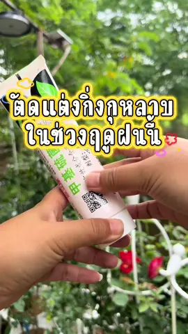 #ยาทาแผลไม้#ยาทาแผลกิ่งไม้#ยาทาแผลต้นไม้#ยาทาแผลต้นไม้กันรา #ปลูกกุหลาบ#ฝ้ายชอบในสวน 
