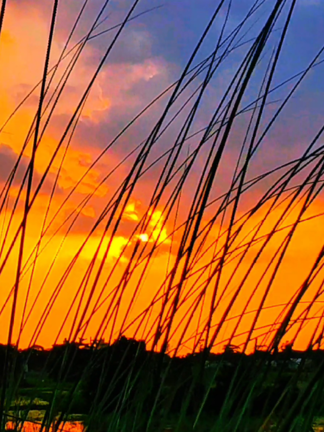 তুমি যখন আসবে আমি আসবো তখন 🌿🍁 #আল্লাহ্_সর্বশক্তিমান #foryou #sky #আনিসুর_রহমান_আশরাফী💖💖 #ইসলামিক_ভিডিও #প্রকৃতি #tiktok 