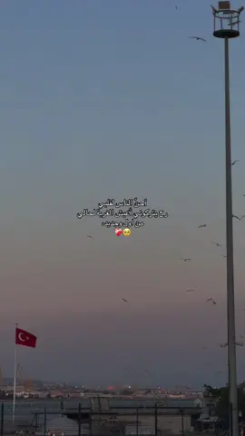 😭🤍🤍🤍 #فراق #اهلي #سوريا #مالي_خلق_احط_هاشتاقات 