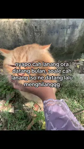 #fyp 