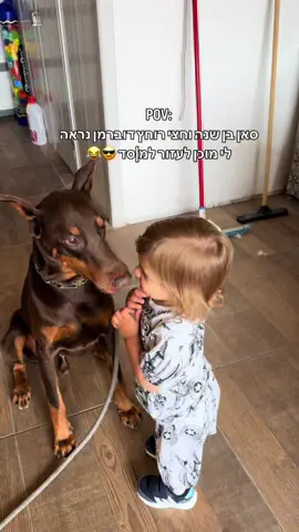 השיר פשוט יושב בול 2 פושע*ם 👶🐶 אמרו לי למסור את הכלב זה מסוכן לסאן..אז אמרו 💛 #אבאמביך #סאן #צ׳יפופו #כלב 