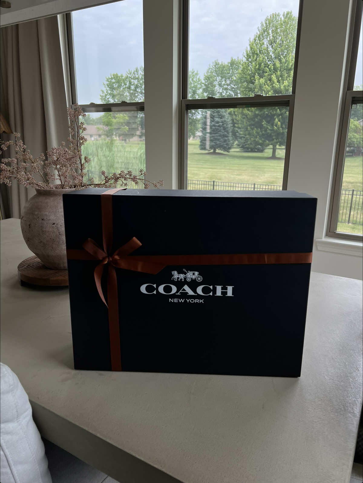 THE PERFECT EVERYDAY BAG🤎 @Coach  #coach #coachpurse #coachbag #unboxing #unboxingvideo #maple #brass #purse #bag #everydaybag 