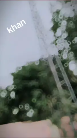 #9T2khan👍👍👍👍👍✌✌✌🔥🔥🔥🔥 