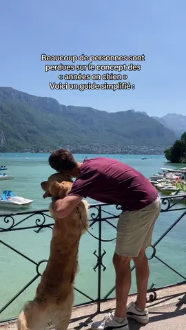 1 année = 7 ans en chien c’est faux 👀