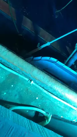 #fyp #kapalpursesainejuwana #pkl #nelayanjuwanapati #merauke_papua 