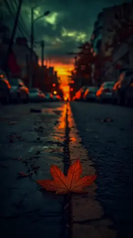 🗿#storytime #katakata #statusharian #storywa #gabutstory 