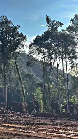 km 68 tofu Halmahera Timur 