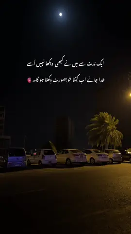مُلاقاتیں نہیں ہو پاتی لیکن مُحبت بے شُمار ہے تم سے🤌🏻❤️‍🩹 #aestheticvideos #foryoupage❤️❤️ #fyp #status 