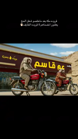 #CapCut #قروده_ابها #fyp #explore 