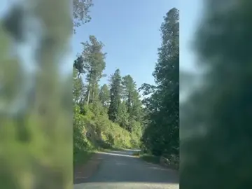 #travel #foryou #northernareasofpakistan 