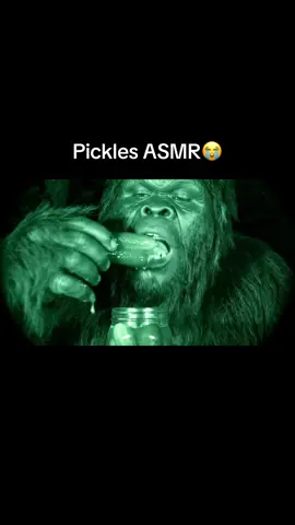 Bigfoot eating pickles in the dark ASMR… #bigfoot #Vlog #veo3 #pickles #asmr 