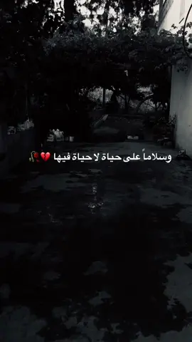 #تصويري #عباراتكم_الفخمه📿📌 #عبارات #اقتباسات #foryoupage #foryou #اكسبلورexplore #تيك_توك #يارب_فوضت_امري_اليك 