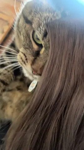 HIS FACE IM DYINGGG #gdragon #fantasticbaby #kpop #kwonjiyong #bigbang #viral #foryoupage #catsoftiktok #cat #kpopfyp 