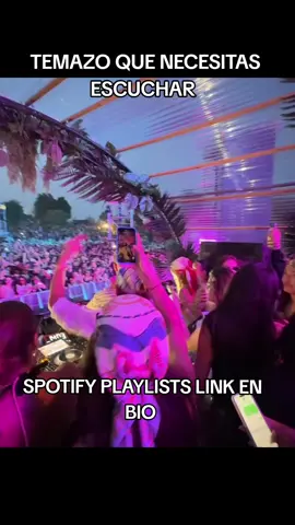 Spotify playlists link en Bio #hugel #popcorn #housemusic #deephouse #edmmusic #parati #foryou #dj 