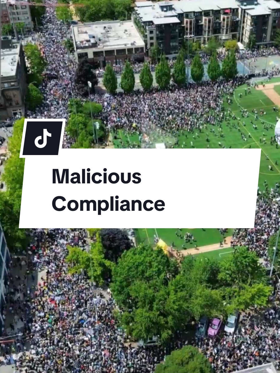 #creatorsearchinsights #notmypresident #50501 #nokingsday #nokings #maliciouscompliance #veteran #outofsync @MeidasTouch @Aaron Parnas 