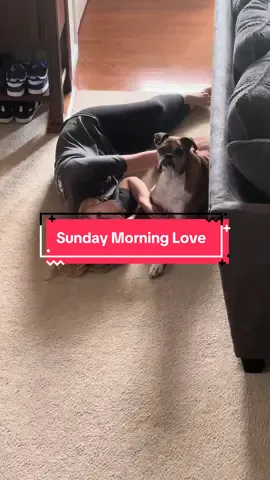 #dog #dogsoftiktok #dogs #doglover #boxers #boxersoftiktok #boxerdog #boxer #boxerdogs #dogmomlife 