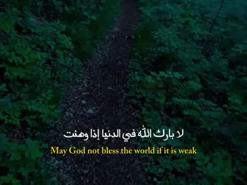 لا بارك الله في الدنيا إذا وهنت .. #كلام_من_ذهب #ستوريات #اقتباسات #عبارات #fyp 