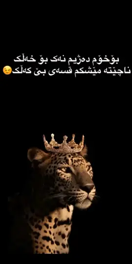 #erbil #viral #foryou #flypシ 