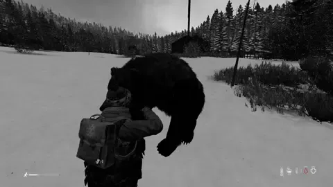 I wish a bear would 😂 #dayzclips #dayz #dayzmoments #xboxgaming #xboxseriesx #xbox #dayzxbox #dayzcommunity #sakhal #helpthebear #khabib #takamura #gamerdad