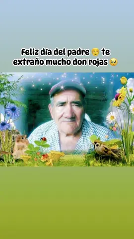#felizdiadelpadre #fyp #hastaelcielo #hastaelcielo #hastaelcielo🕊❤️  #viral #hastaelcielo💔😭 #seo #paratiiiiiiiiiiiiiiiiiiiiiiiiiiiiiii #xzybca #teamwork #teextraño #papa 