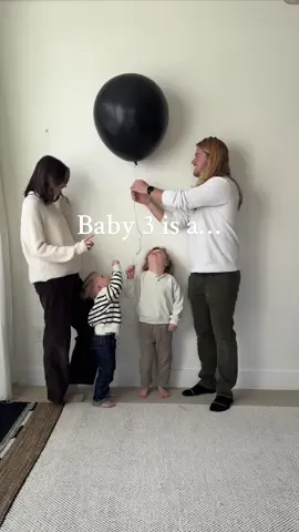 Baby no. 3 is a … 🤍🕊️ #genderreveal #pregnantlife #pregnancyannouncement #pregnanttiktok 