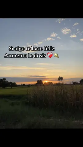 #fypツ #atardecer 