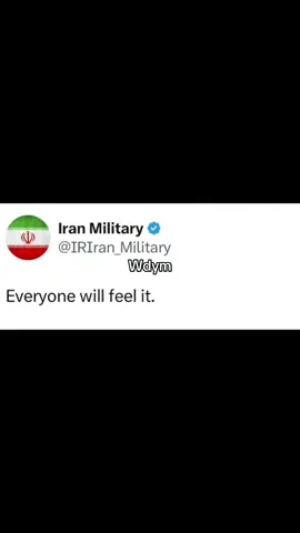Yes i’m a muslim and yes absoluty hate israel. But just take it as a joke. I hope everyone stays safe in iran may Allah be upon us… #joke #iran #fyp #foryoupagе #viralvideos #viral #100k 