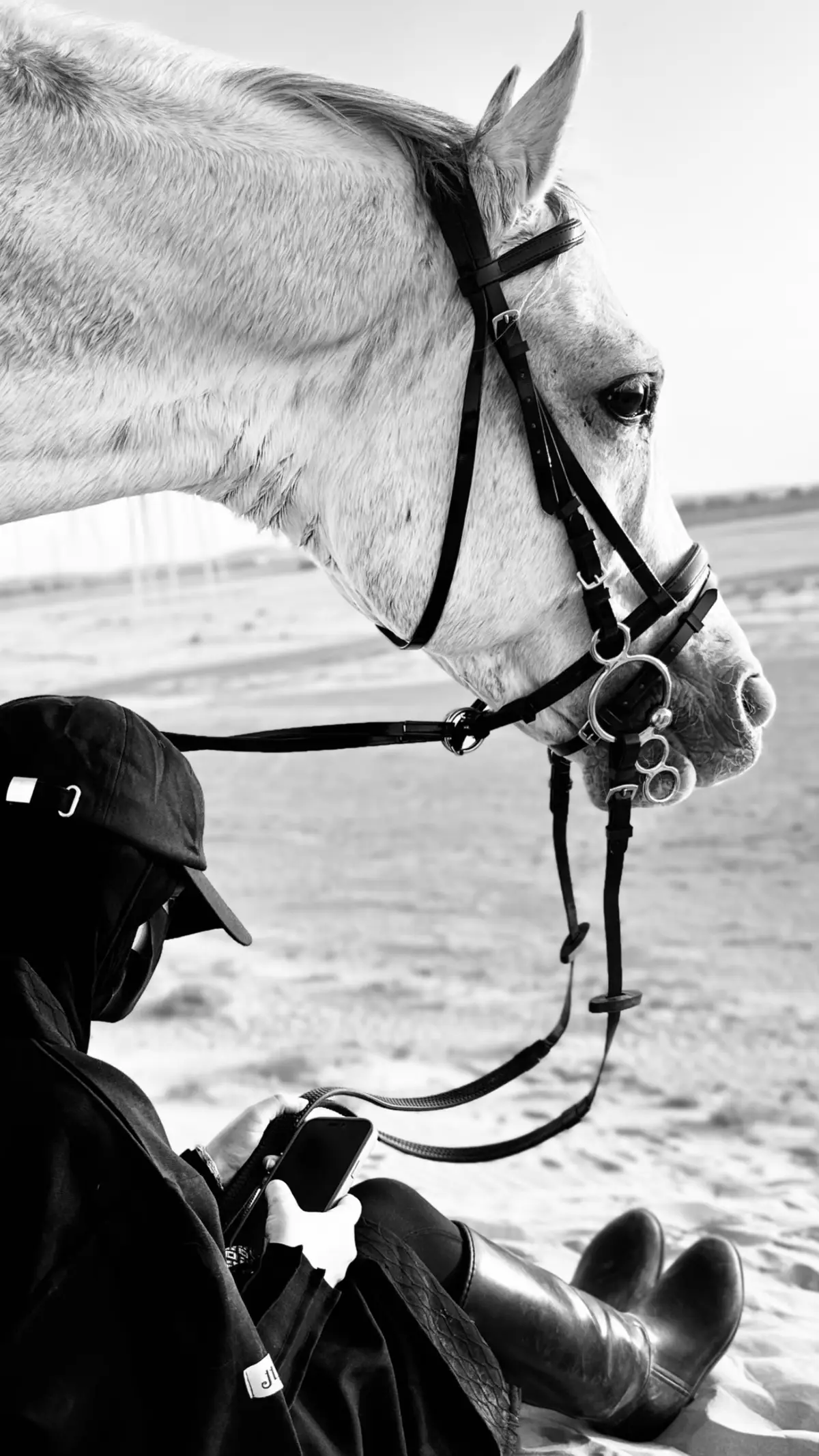 #الخيل_عشق_لاينتهي♥️🐎#اكسبلووررر#خطافي🐎✨