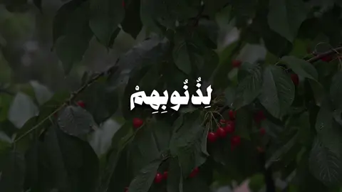 ﴿ وَالَّذِينَ إِذَا فَعَلُوا فَاحِشَةً أَوْ ظَلَمُوا أَنفُسَهُمْ ذَكَرُوا اللَّهَ فَاسْتَغْفَرُوا لِذُنُوبِهِمْ وَمَن يَغْفِرُ الذُّنُوبَ إِلَّا اللَّهُ وَلَمْ يُصِرُّوا عَلَىٰ مَا فَعَلُوا وَهُمْ يَعْلَمُونَ﴾ [ آل عمران: 135]  @فذكْر || So remember 