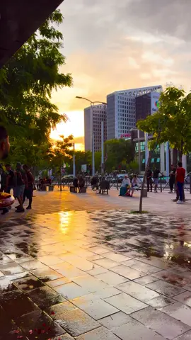 #سطيف #الجزائر🇩🇿 #سطايفي #algeria #alg #شعب_الصيني_ماله_حل😂😂 #setif #شعب_الصيني_ماله_حل😂😂 