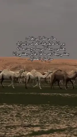 #اكسبلور #اكسبلورexplore 