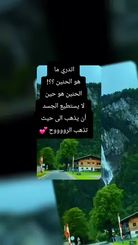 حنين #اكسبلور #flowers #tik_tok #foryou #CapCut 