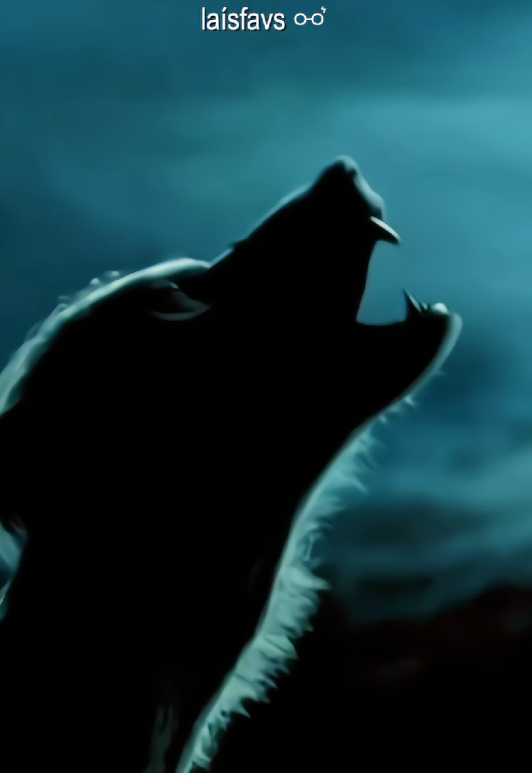 amo y amo Harry Potter e o prisioneiro de Azkaban 🤍🤍 #harrypotter #harrypotterandtheprisonerofazkaban #siriusblack #fy #fyp #remuslupin 