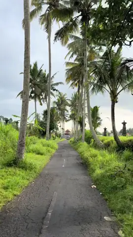 enjoy a drive through ubud!! the motorbike rides have slowly become my favorite part of the trip so far. #bali #ubud #solotravel #backpacking #creatorsearchinsights #fyp 