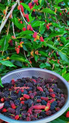 #fyp #foryou #foryoupage #viral #فيروز 