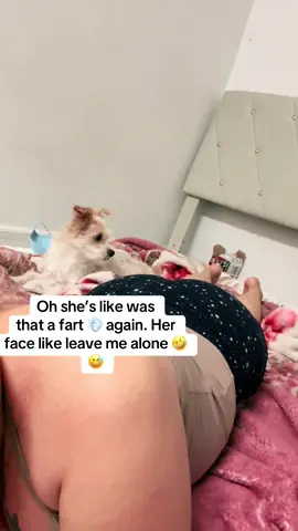 Someone commented on my other video that I gave her pink eye with my fart so this time she’s not on top of me 😅🤣😂 we need to be cautious. #GoFundMe #fyp #foryoupage #parati #viral #dog #fart 
