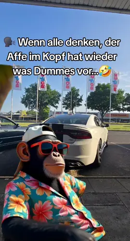 der Affe in Kopf 🤣🤣 #dodge #charger #dodgecharger #rt #car #carporn #tuning #mopar #moparornocar #hemi #v8 #musclecar #srt #shooting #scatpack #moparnation #carsofinstagram #carphotography #hellcat #autoliebe #germany #uscar #uscars #carmeet #americanmuscle #cartok #moparcommunity #kw #kwv2 #CapCut 