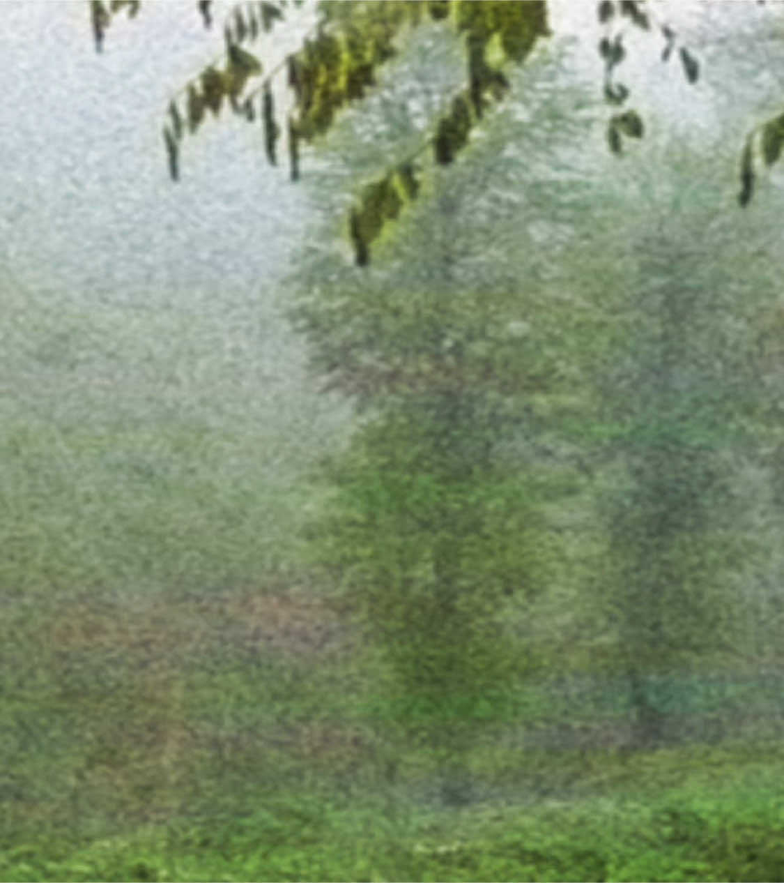 #щп #fyp #songtext #lyrics #песня #song #текстпесни #foryou #щитпост 