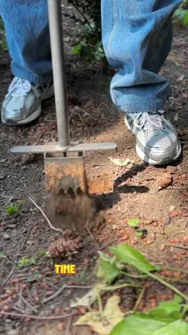 clay garden has been poppin off #pottery #asmr 