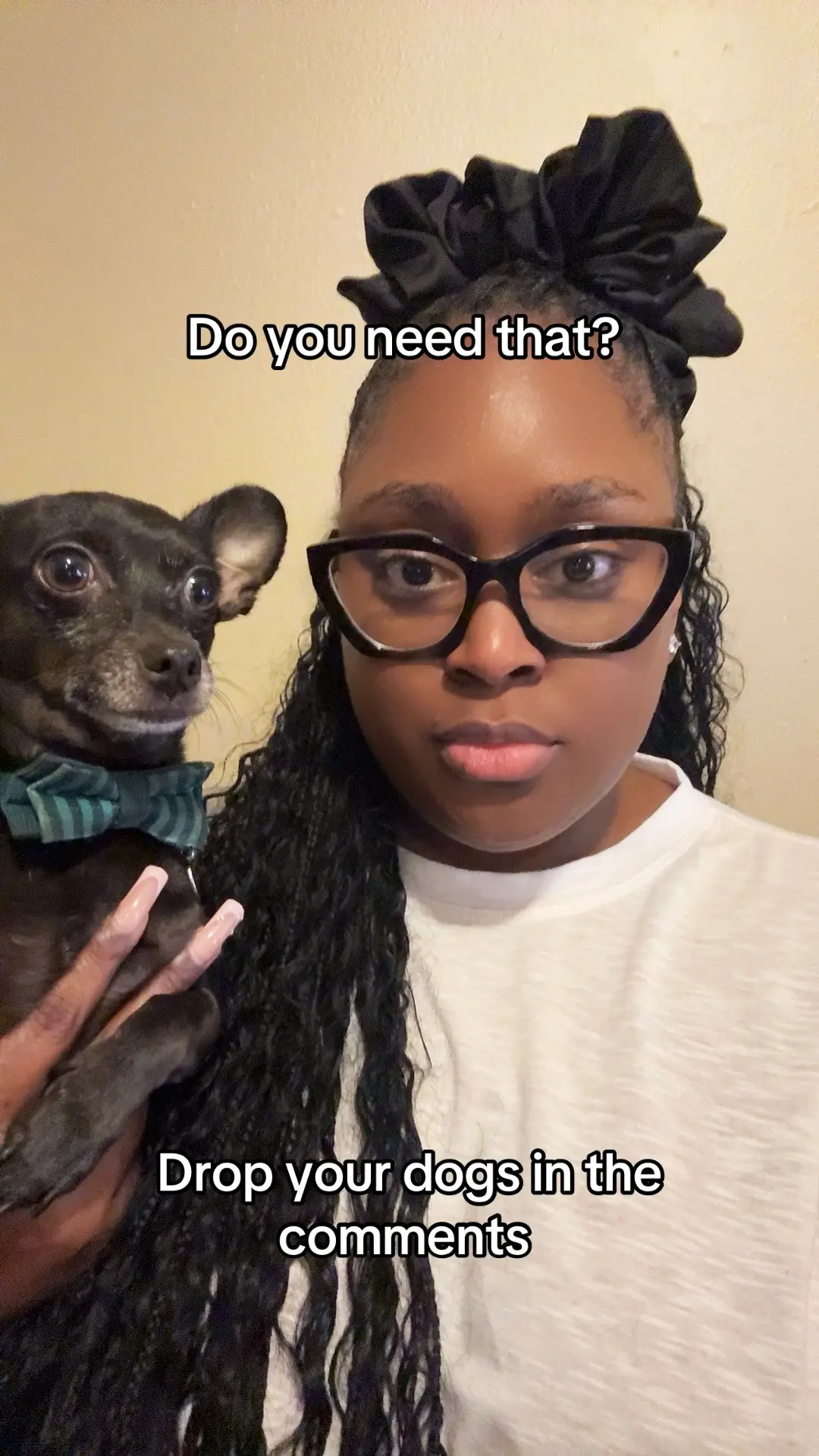 My dog is so unserious but we want to see your pets ⬇️ #creatorsearchinsights #youneedthat #PetsOfTikTok 