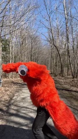 NO CRIME WAS COMMITTED BY THIS WORM!!! -Neuvillette P.S.- No furinas were kidnapp to make him say that 🤫🪱👀   #genshin #genshinmemes #oratricemecaniquedanalysecardinale #neuvillette #neuvillettegenshinimpact #memestiktok #meme #fyp #fy #fypシ゚ #fypageシ #foryoupage #funny #funnytiktok #wormonastring #wormonastringcosplay #worm #dancing #2025 #cosplayer #cosplayers #hoyoverse #gaming #tiktok #funnymemes #french #frenchiesoftiktok #quebec #canada🇨🇦 