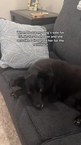 Immediately staring me down