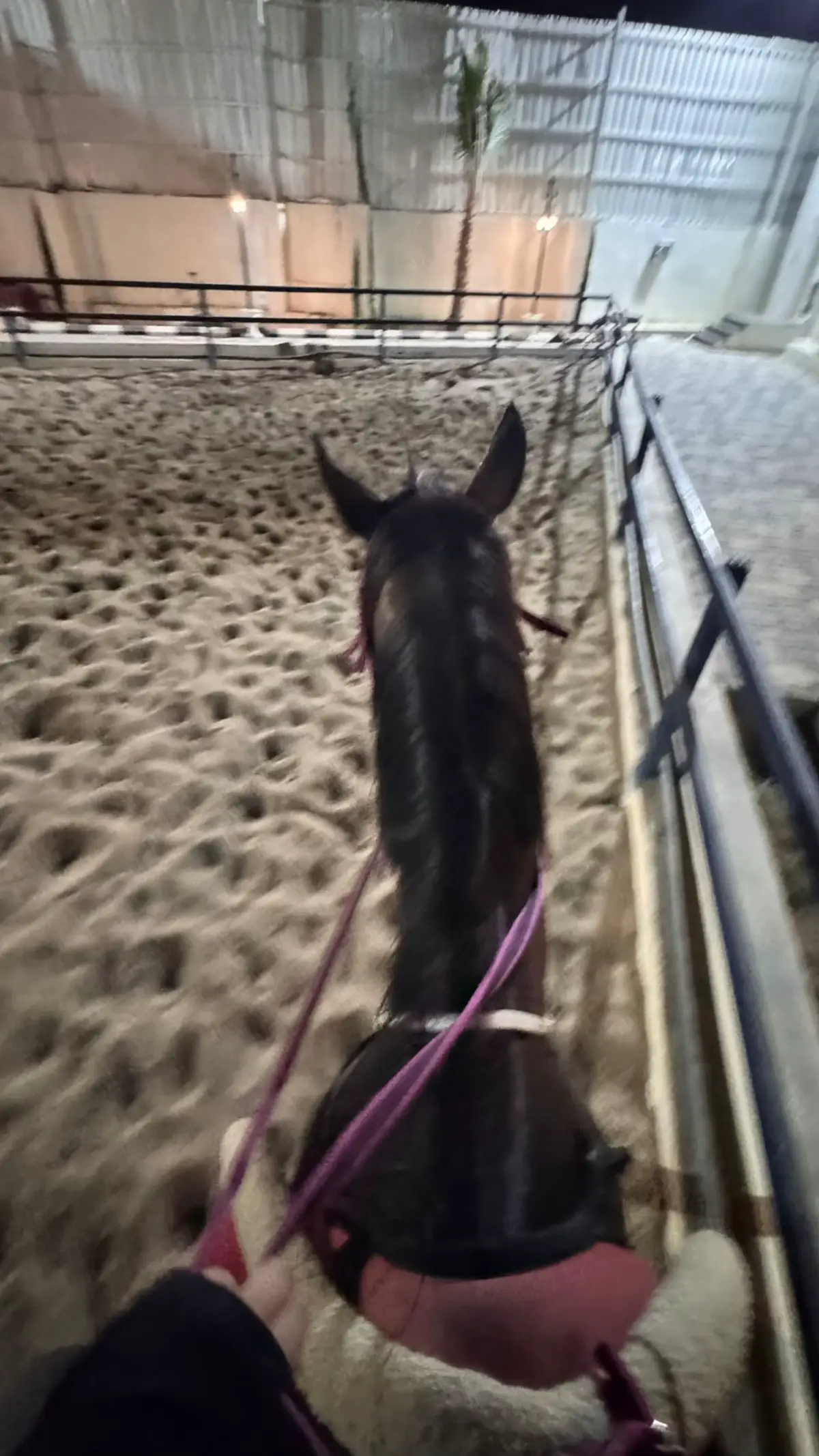 #مايحتاج_هاشتاق 