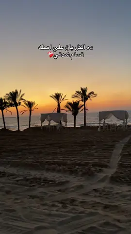 #JOUUX #fpyyyyyyyyyyyyyyyyyyyyyy #foryou #vairal #CapCut #forfun #fypp #pov 