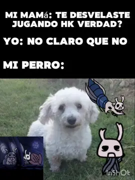 #hollow #foryoupage #fyp #hollowknight #humor Allí esta el zote con sus preceptos 🗣🗣 chotochotochotochupapurizarapuri