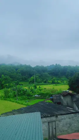 Khung trời bình yên#tiktokviral #binhyen #nhacxua 